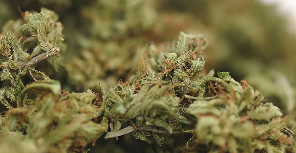 7 idées reçues sur le CBD Image