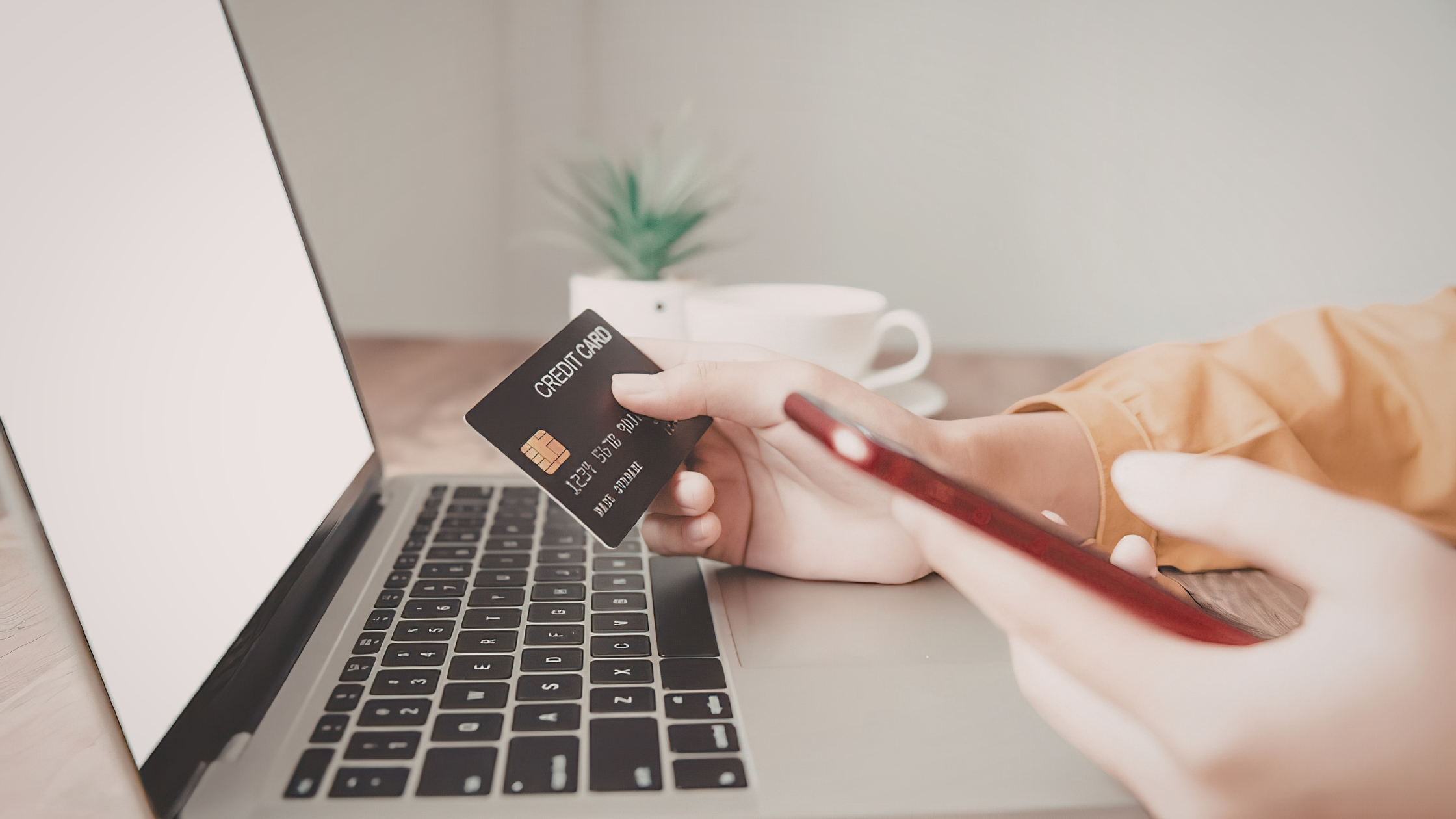 Avis CBD : comment éviter les arnaques avant d’acheter en ligne ?