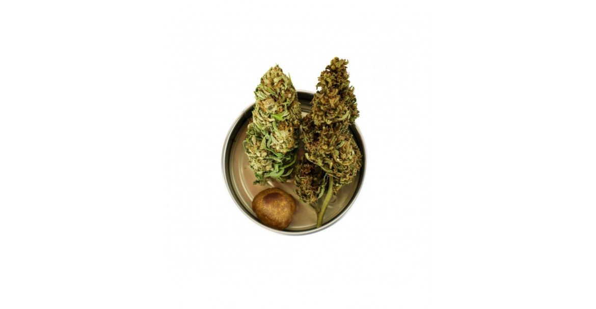 Box Découverte Cannabis CBD : Osez réduire votre anxiété Image
