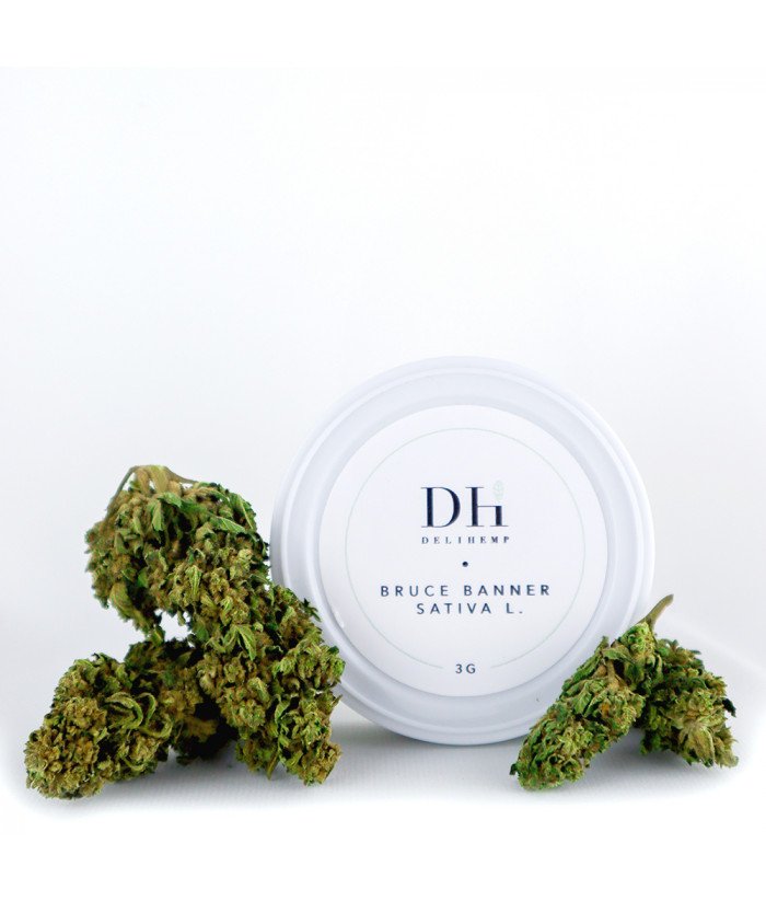 Bruce Banner : Notre fleur CBD premium Image