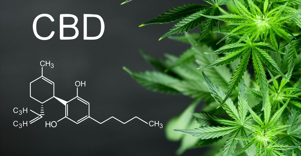 CBD, CBG, quelle différence ?