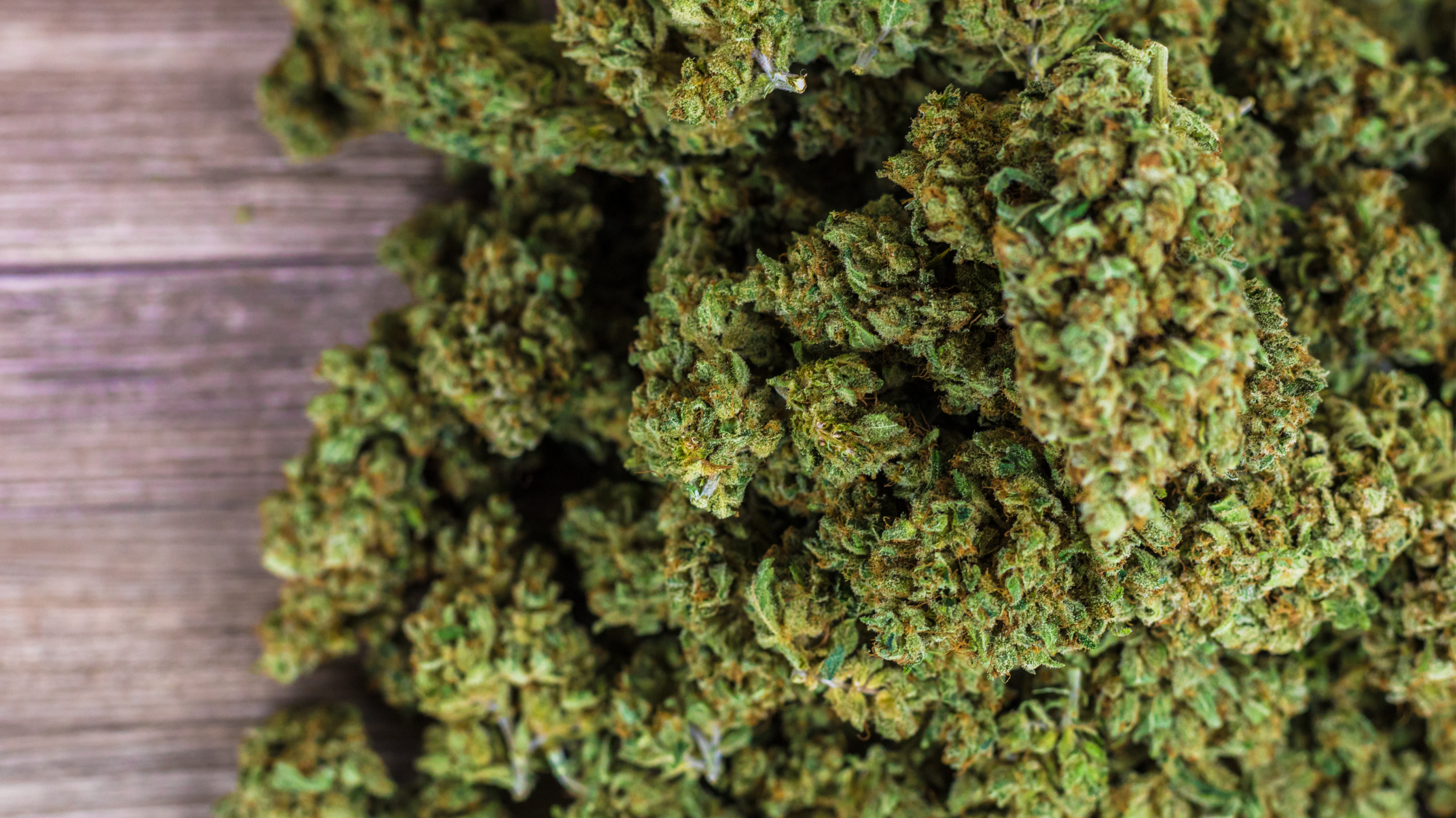 CBD en Allemagne : législation, marché et options d’achat en ligne avec Deli Hemp