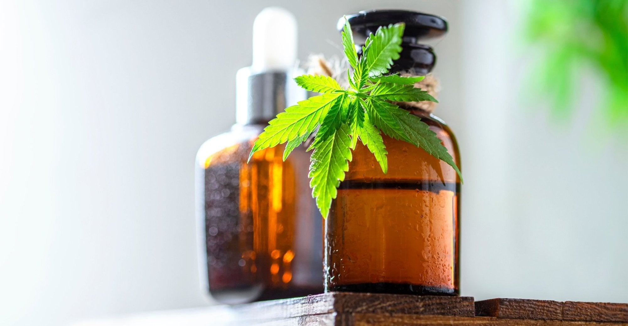 CBD & maladie de Parkinson : le Cannabidiol pourrait soulager les symptômes liés à la maladie. Image