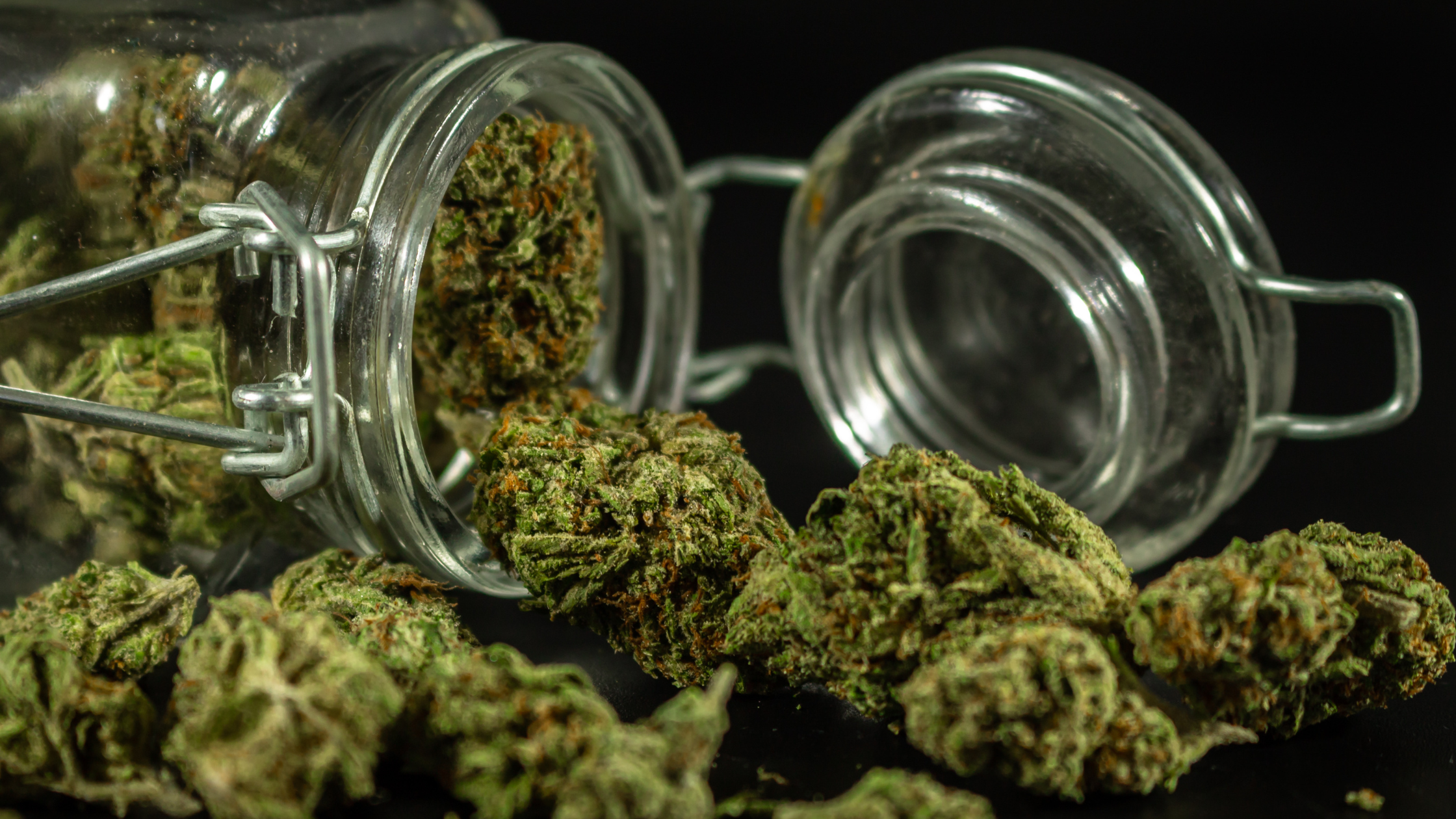 CBD premium vs CBD classique : quelles différences réelles ?