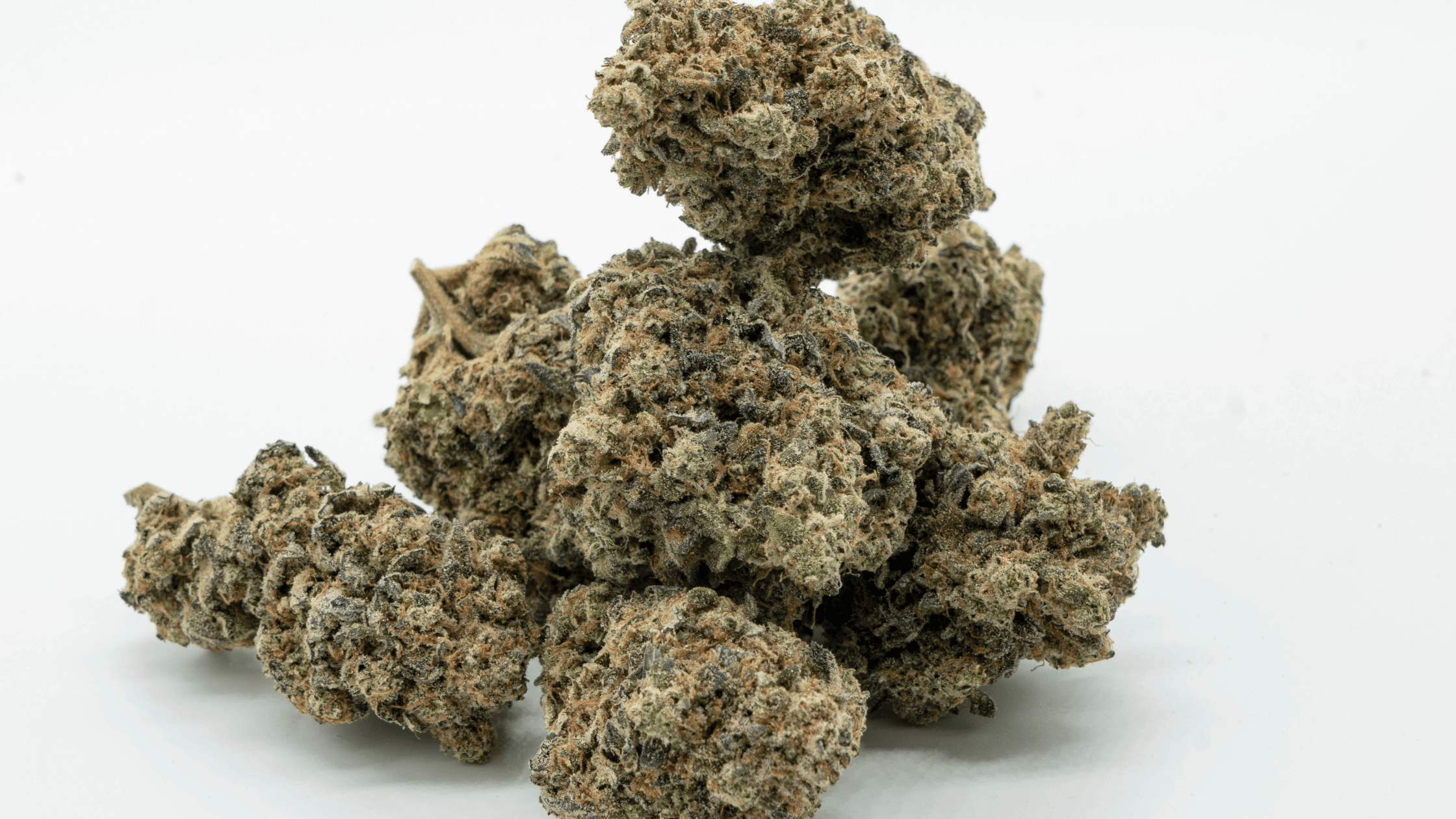 CBD & terpènes : comment bien choisir selon ses goûts naturels Image