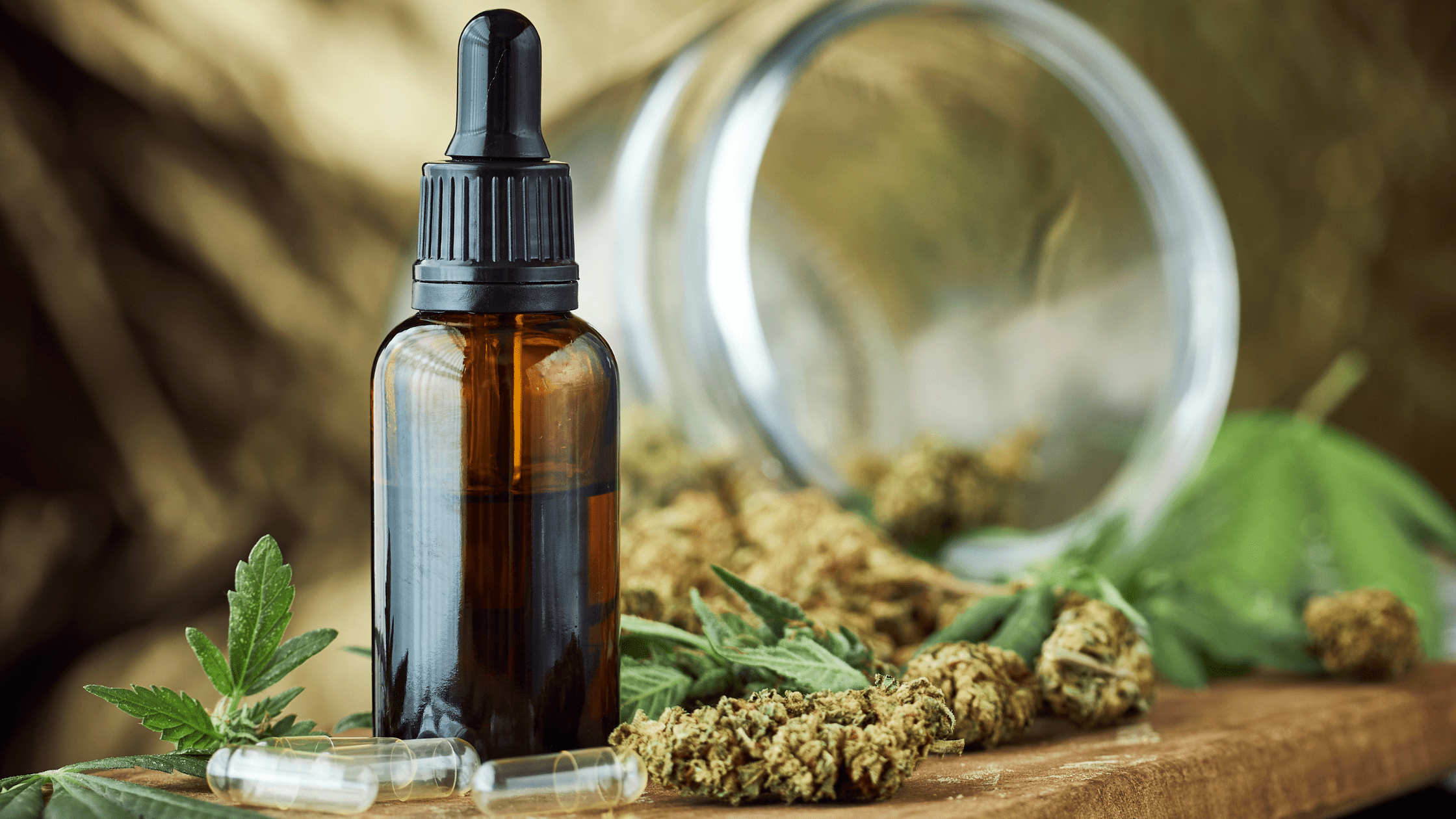 C’est la rentrée : faites le stock de vos produits CBD Deli Hemp
