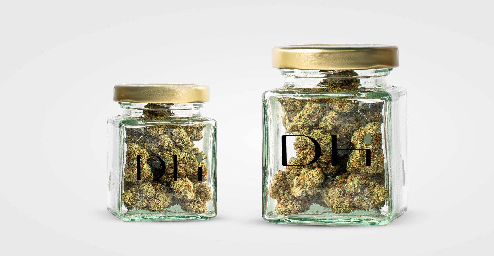 Comment bien conserver ses fleurs et résines CBD ? Image
