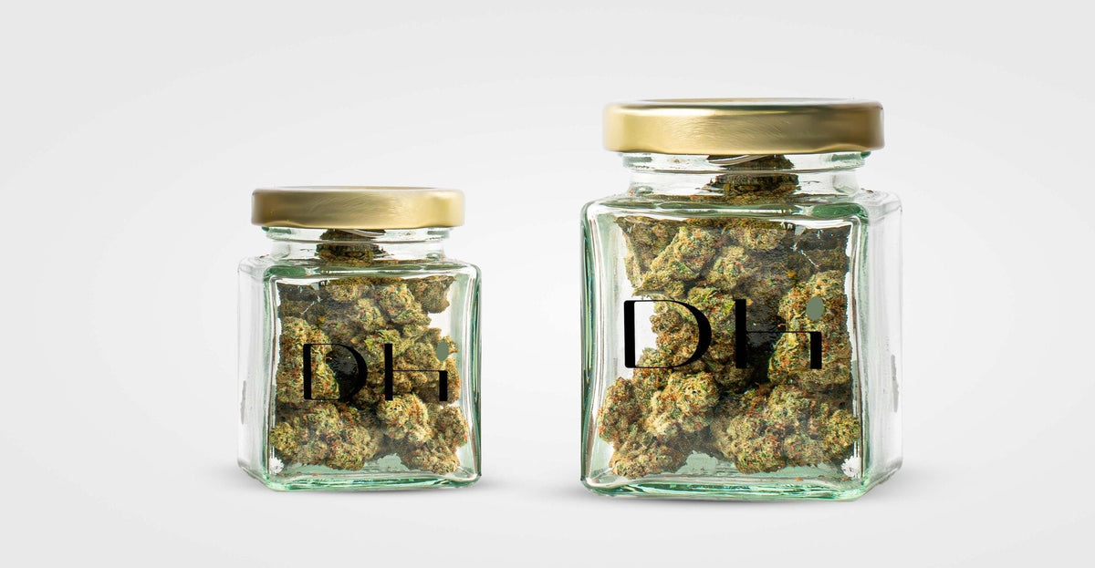 Comment bien conserver ses fleurs et résines CBD ? Image