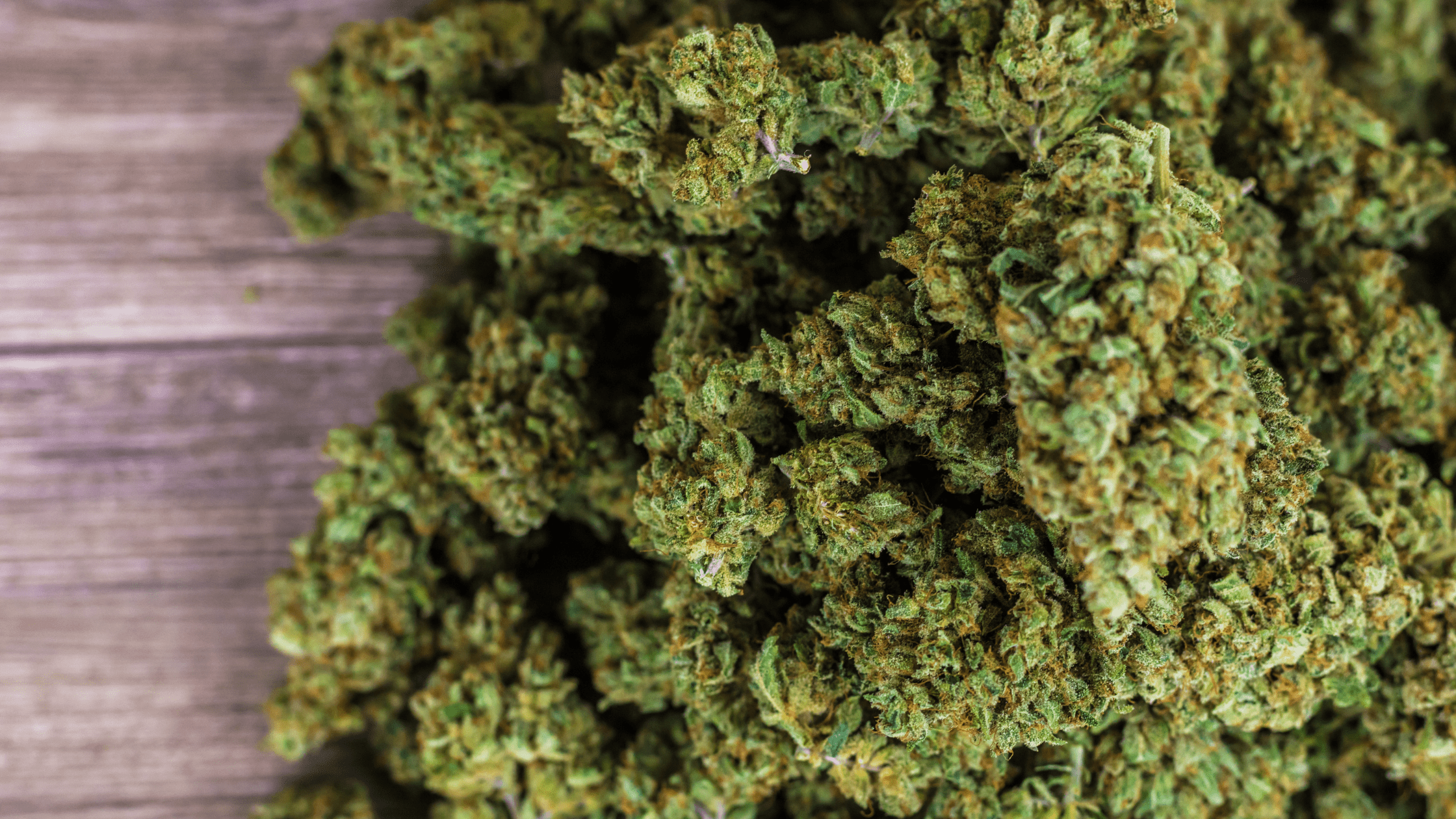Comment choisir une bonne fleur CBD ?