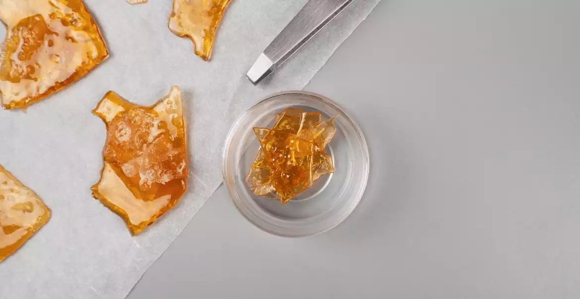 Découvrez notre guide complet sur les meilleurs choix de hash !