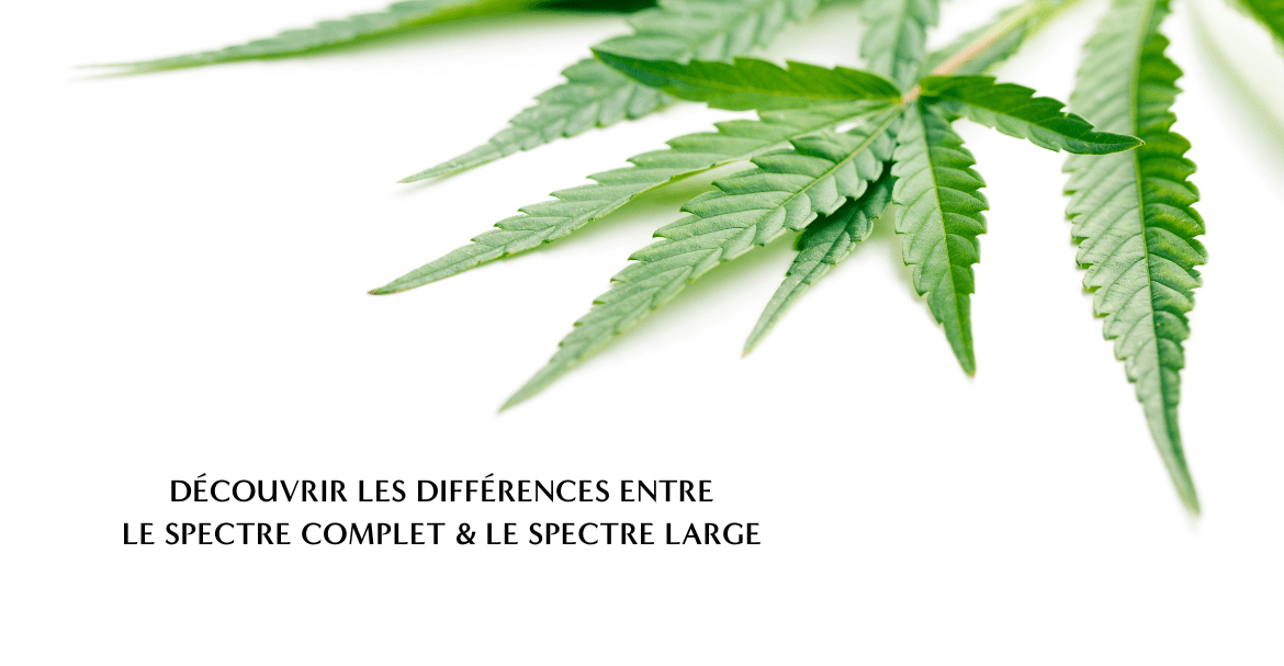 Découvrir les différences entre le spectre complet et le spectre large