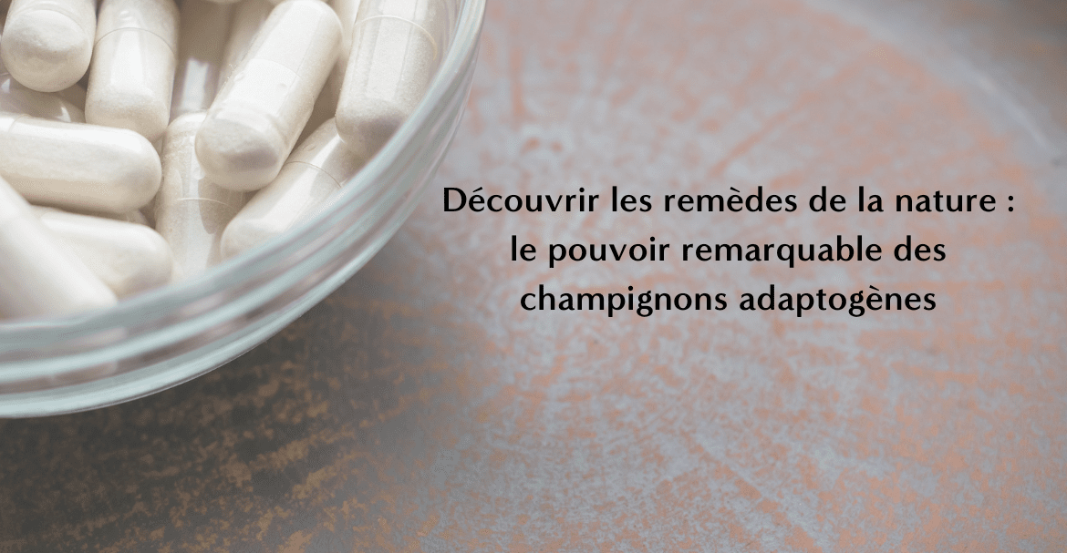 Découvrir les remèdes de la nature : le pouvoir remarquable des champignons adaptogènes Image