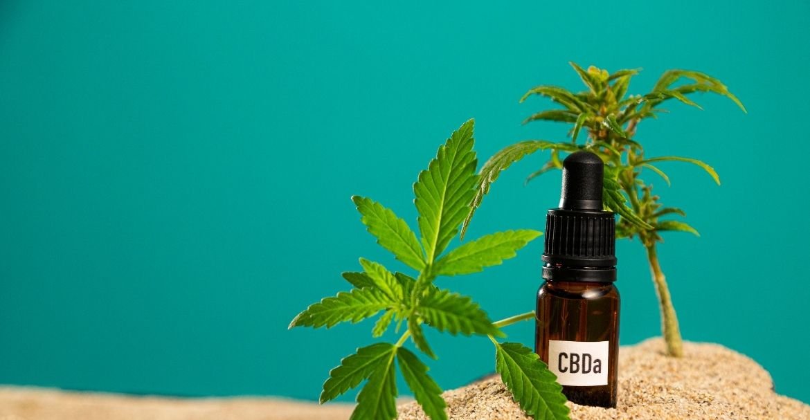 Deli Hemp répond à vos questions les plus fréquentes Image