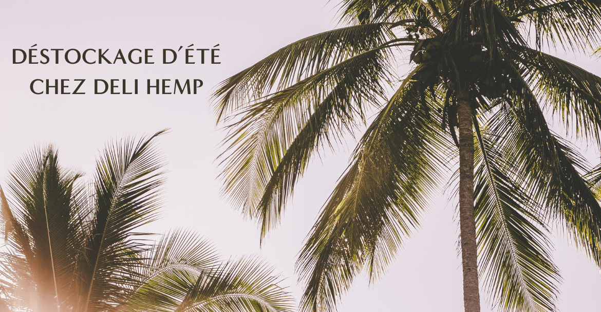 DESTOCKAGE SUR UNE SELECTION DE PRODUITS CHEZ DELI HEMP ! Image