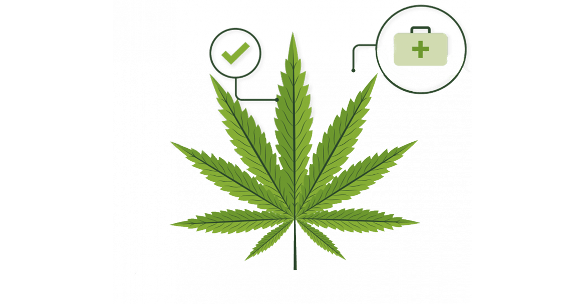 Différence entre CBD et cannabis : Tout comprendre Image