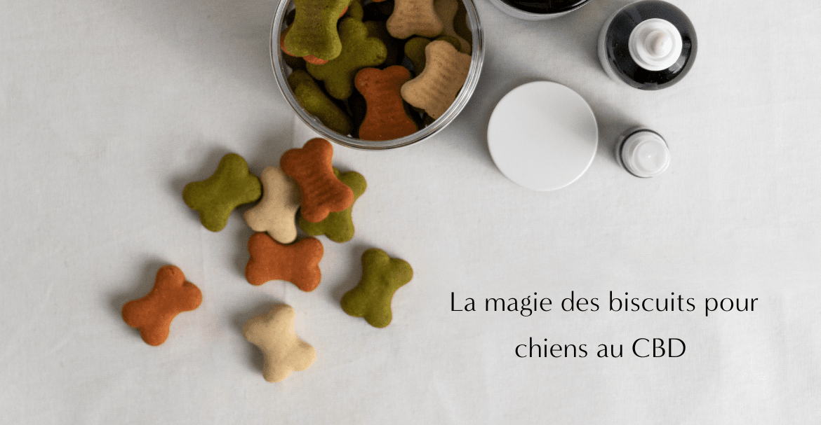 Donner de l'huile Chanvre Saumon à mon animal ?
