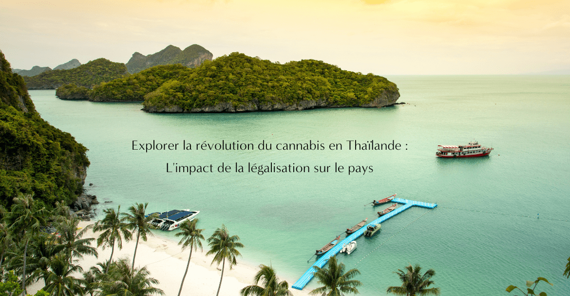 Explorer la révolution du cannabis en Thaïlande : L'impact de la légalisation sur le pays
