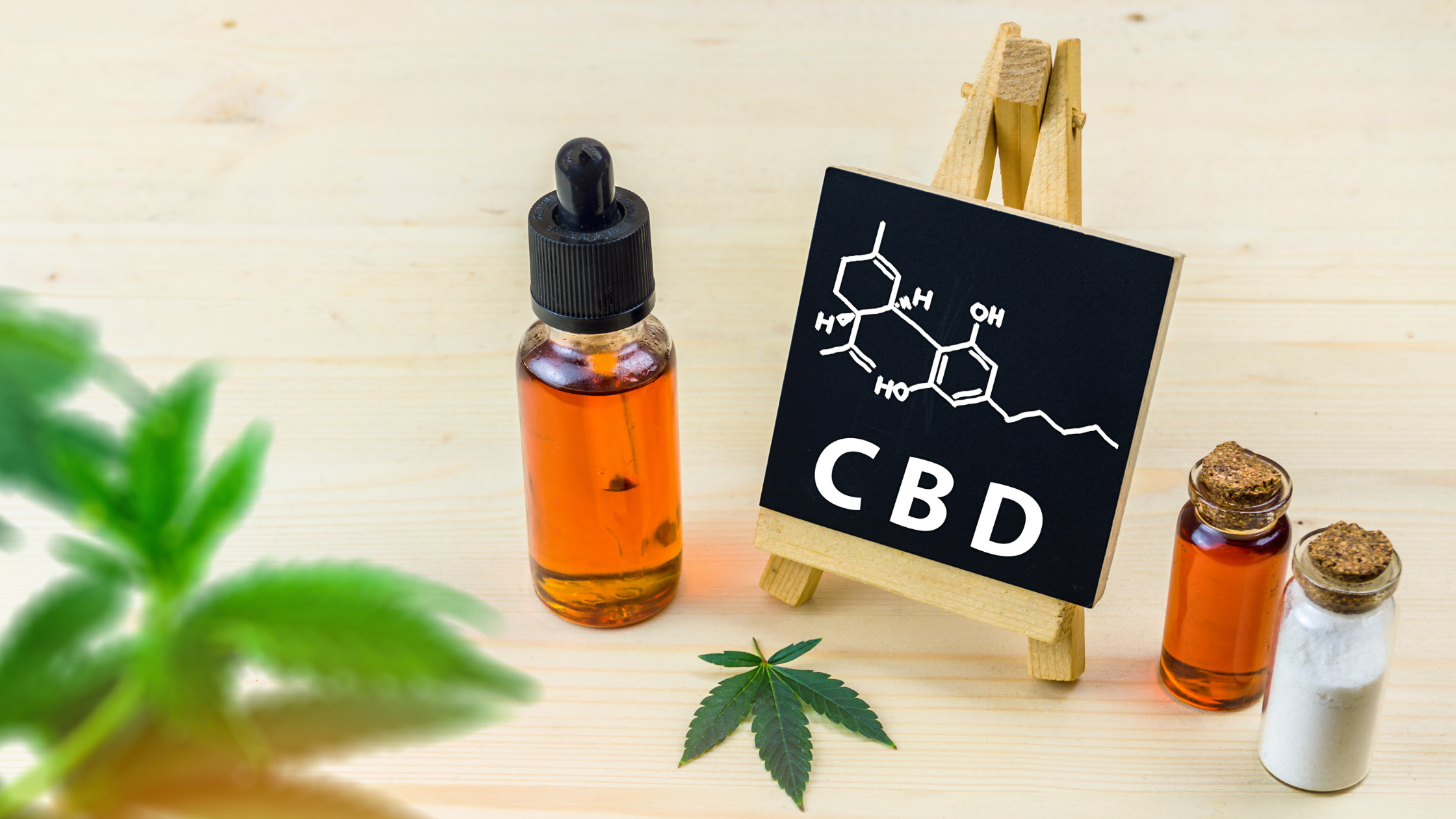 Fleur ou Résine CBD : comment choisir le meilleur rapport qualité / prix en 2026 ?