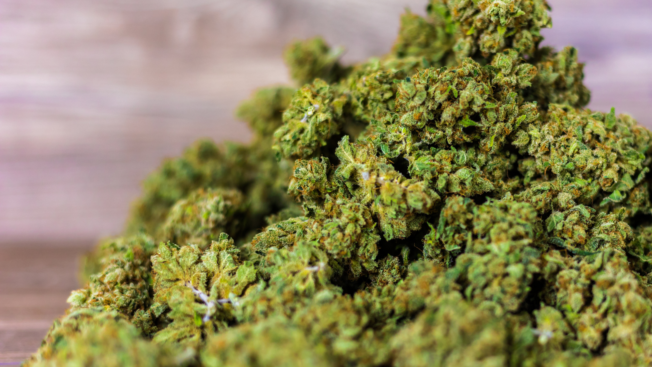 Fleur, pin, terre : quelles sont les bonnes odeurs du CBD ? Image