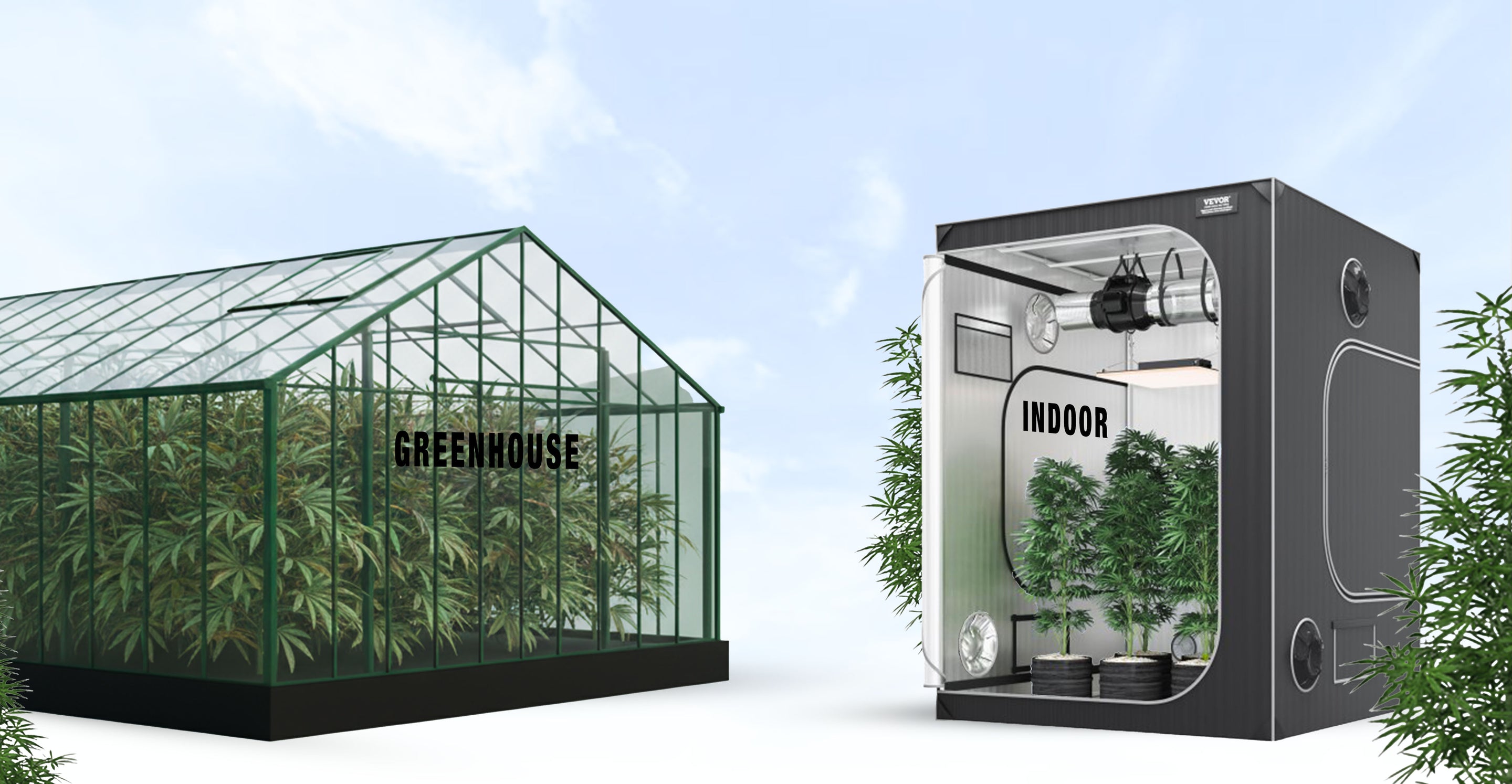 Fleurs CBD Greenhouse ou Indoor : comment choisir ses fleurs CBD ?