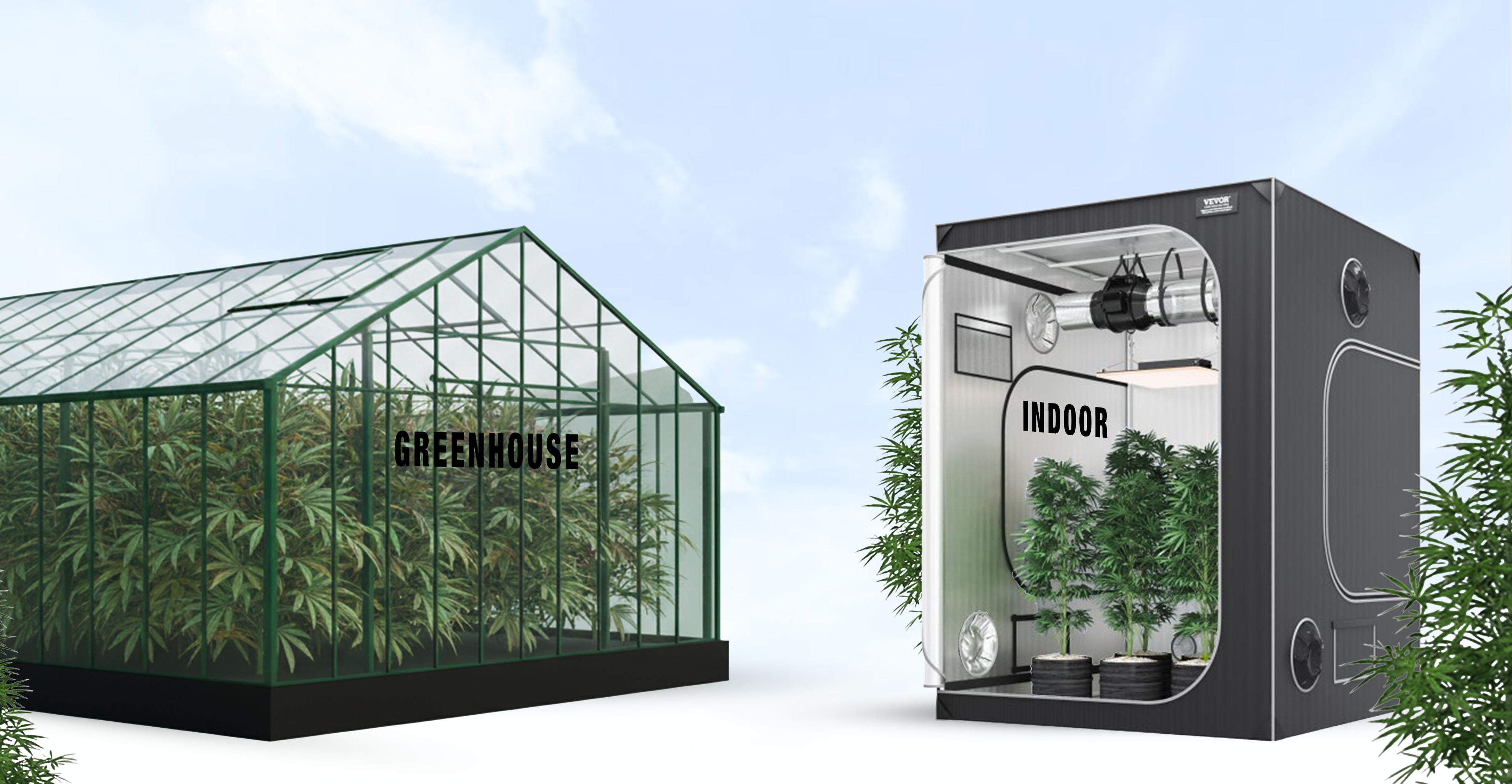 Fleurs CBD Greenhouse ou Indoor : comment choisir ses fleurs CBD ? Image