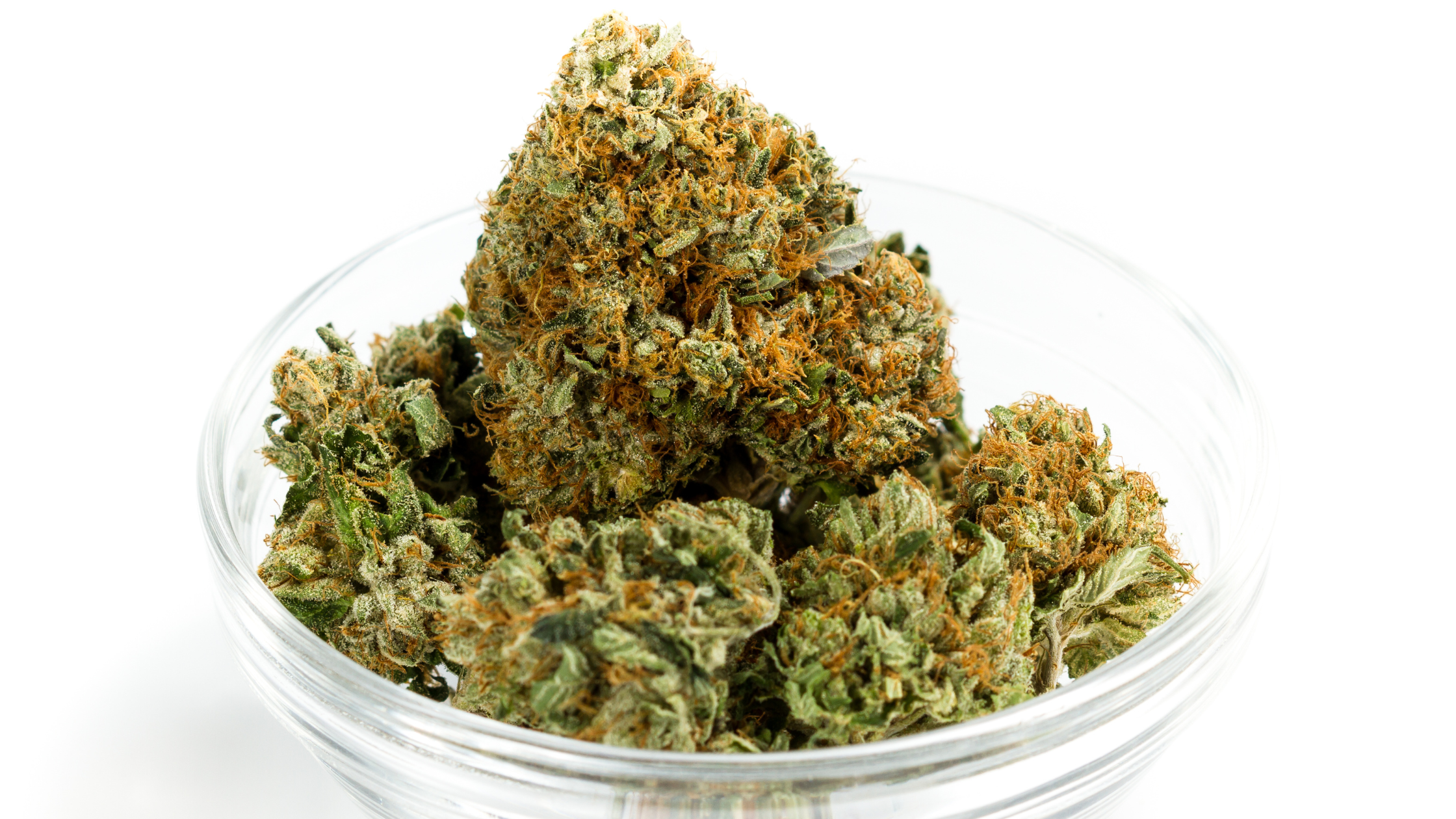 Fleurs CBD : le guide complet 2026 pour bien choisir sur Deli Hemp Image