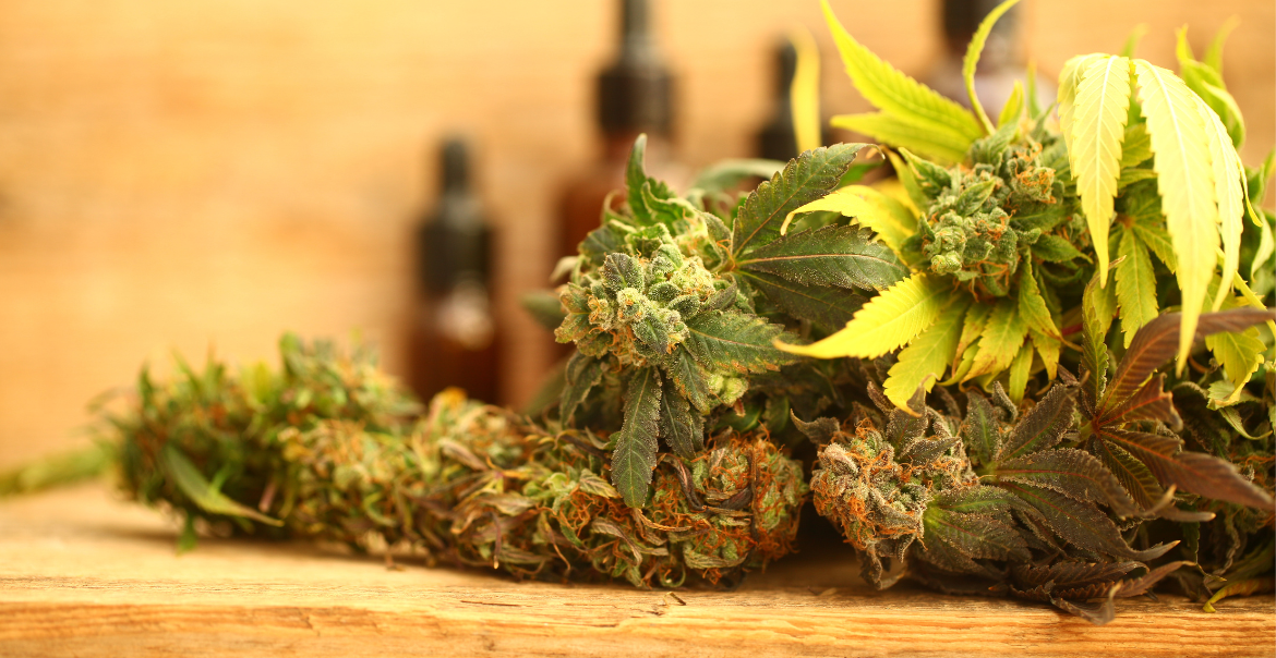 Fleurs CBD premium pas cher : comment bien les choisir en ligne ? Image