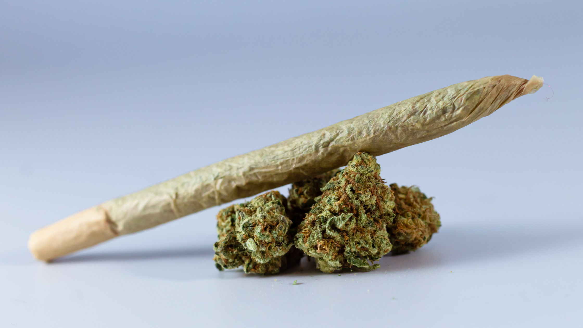 Fleurs CBD transformées : crystal trim, small bud, Deli Rock… que choisir sur Deli Hemp ?