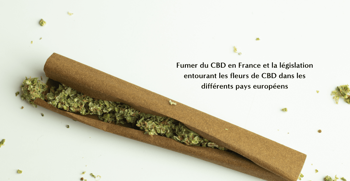 Fumer du CBD en France et la législation entourant les fleurs de CBD dans les différents pays européens Image