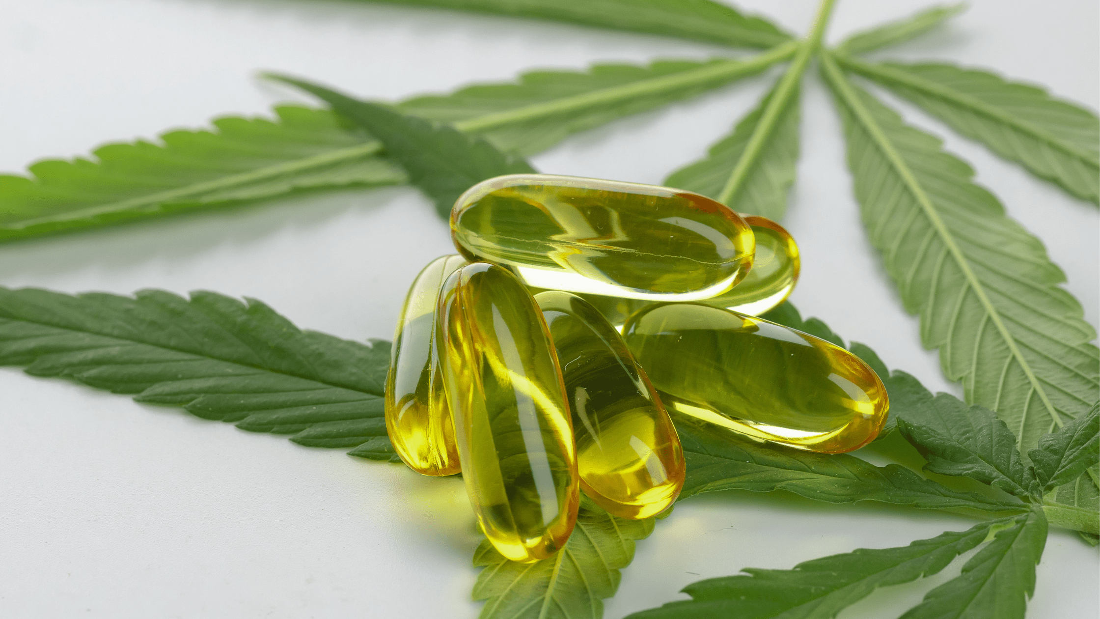 Gélule CBD : comprendre les capsules et leur légalité
