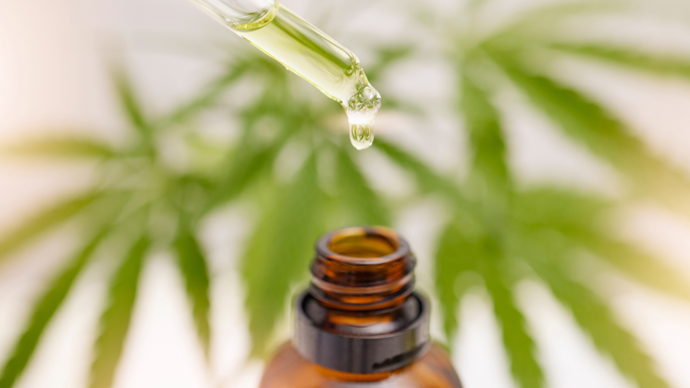 Huile CBD : définition, concentration et comment bien la choisir en 2026
