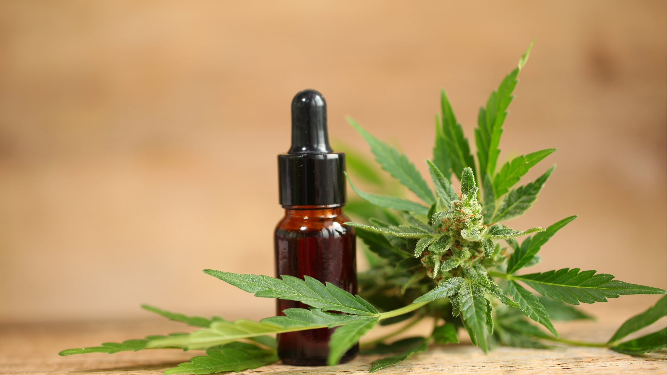 Huiles CBD Full Spectrum, Broad Spectrum ou Isolat : quelles différences concrètes ? Image