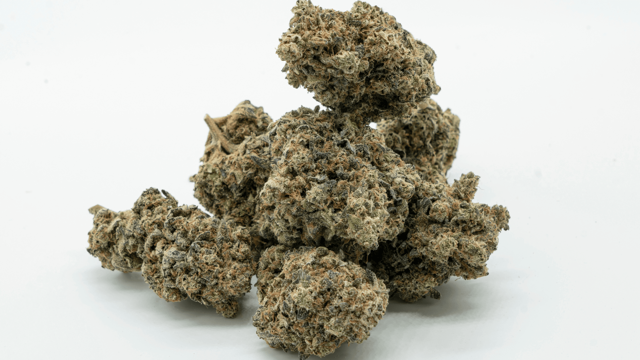 Indica, Sativa ou Hybride : quelles différences entre ces variétés de cannabis CBD ? Image