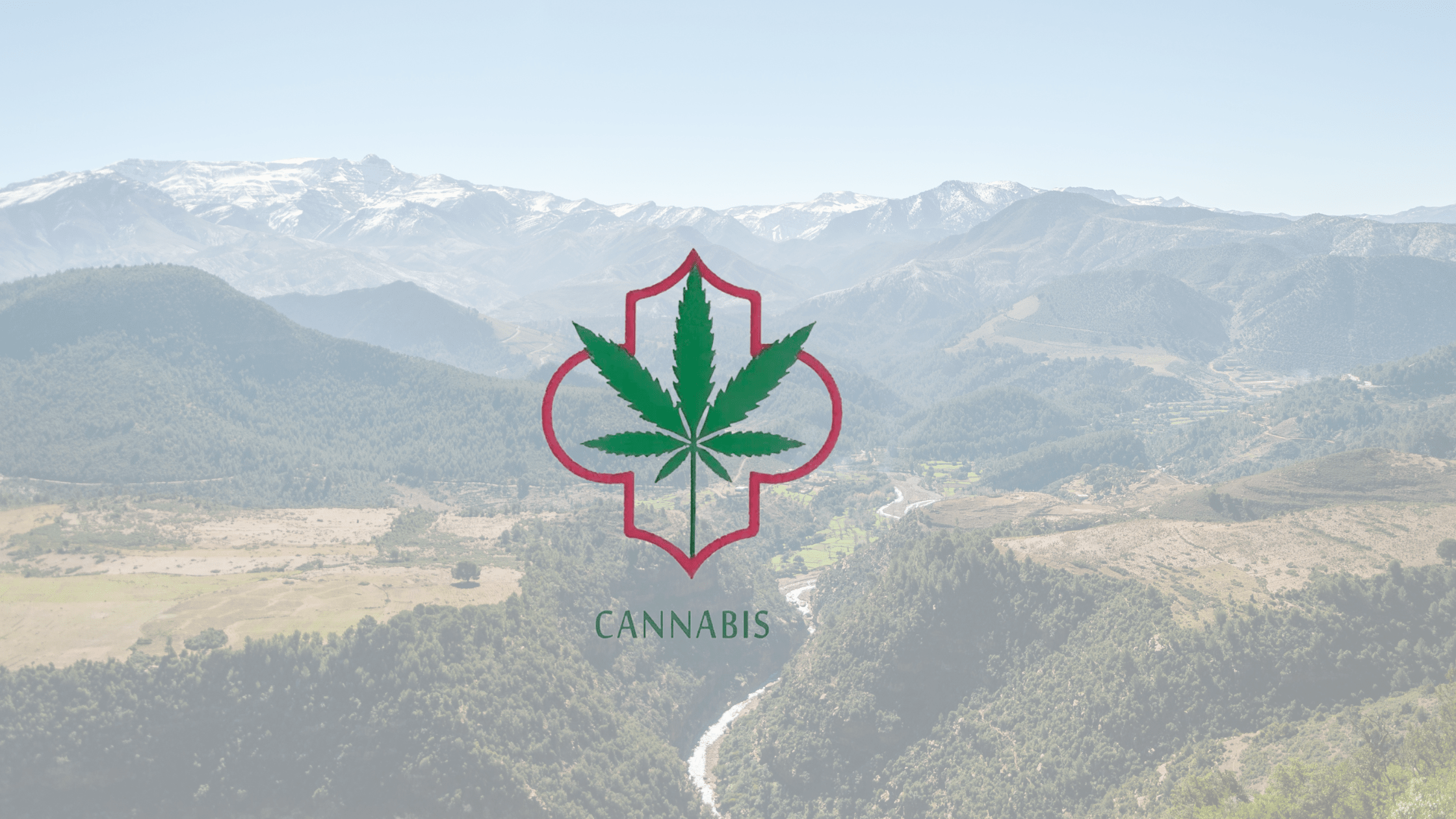 L'industrie marocaine du CBD se dévoile : Un logo pour les produits légaux à base de cannabis Image