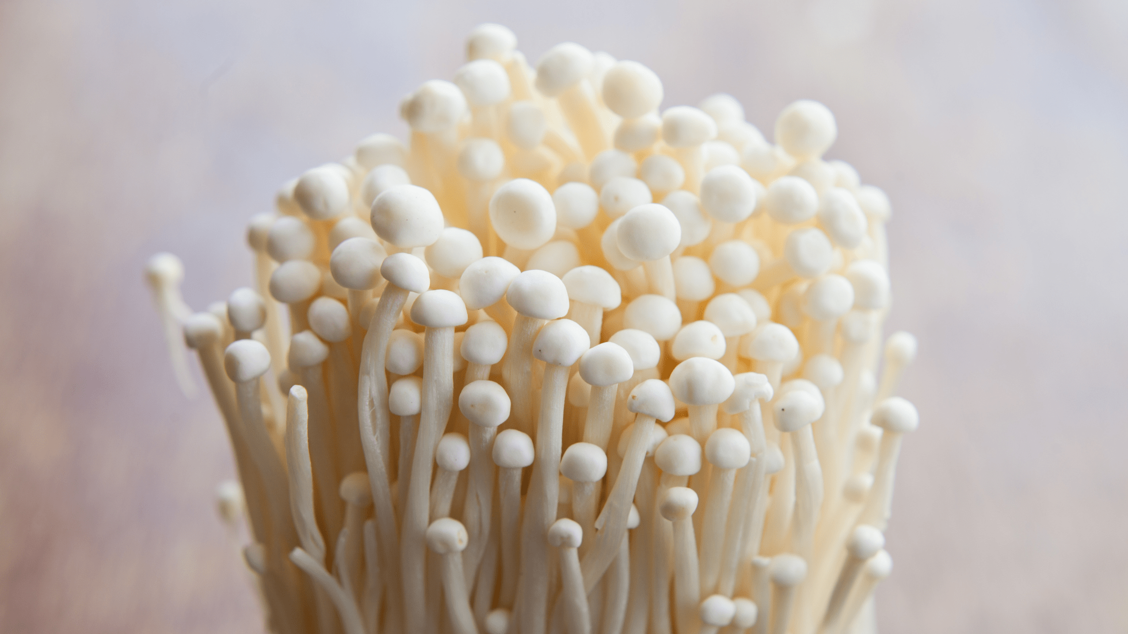 La Californie envisage de dépénaliser les champignons hallucinogènes