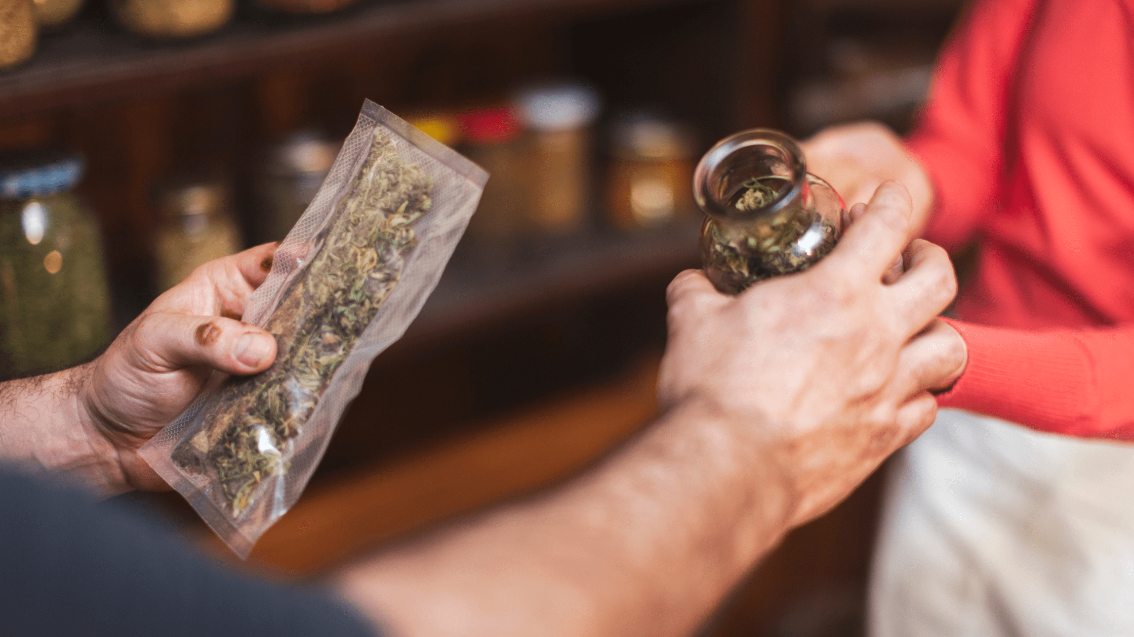 La légalisation du cannabis en Allemagne : Une décision historique Image