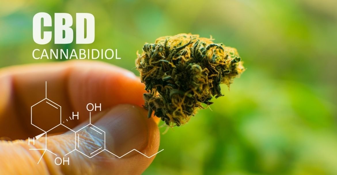 Le cannabis, mieux que le paracétamol pour les douleurs chroniques? Image