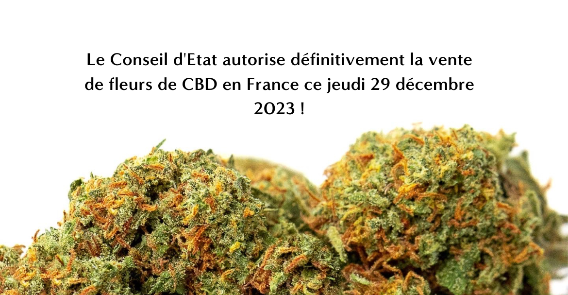 Le Conseil d'Etat autorise définitivement la vente de fleurs de CBD en France ce jeudi 29 décembre 2022 ! Image