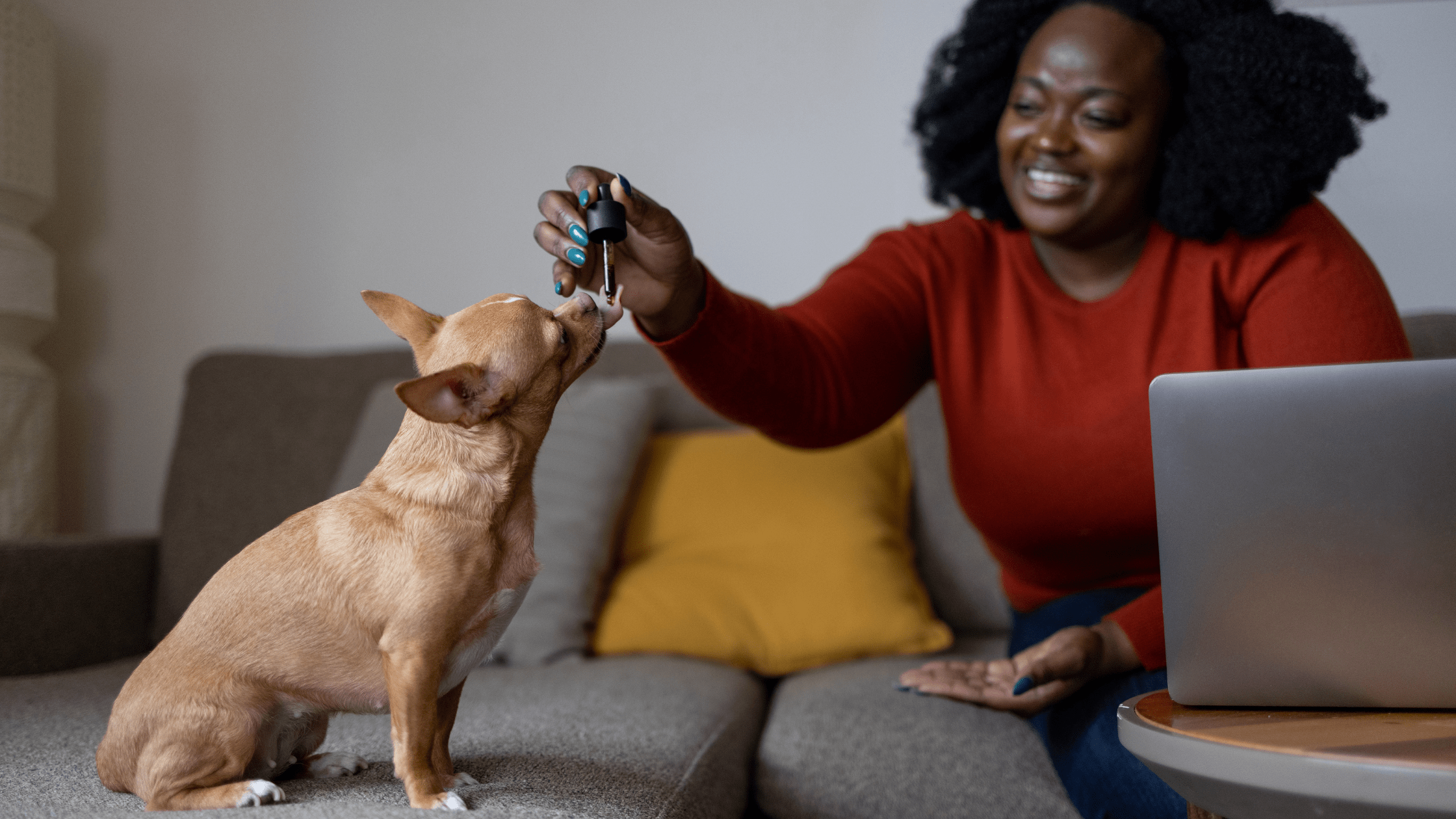 Le rôle du CBD dans la santé canine