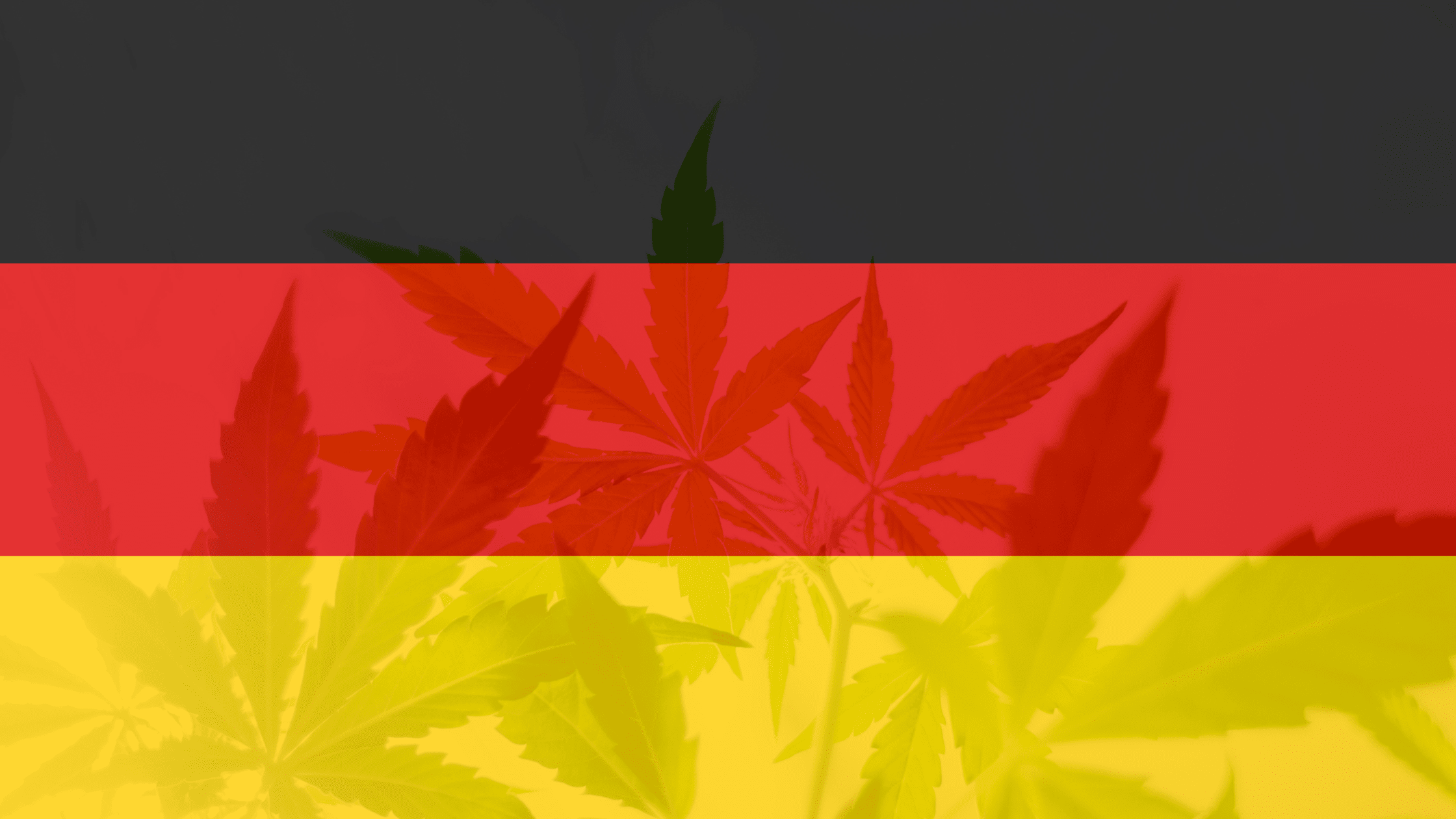 Légalisation du cannabis en Allemagne : prévue en Avril Image