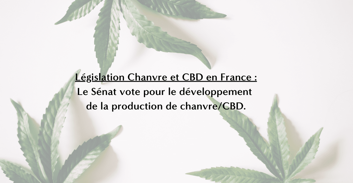 Législation Chanvre et CBD en France : Le Sénat vote pour le développement de la production de chanvre/CBD. Image