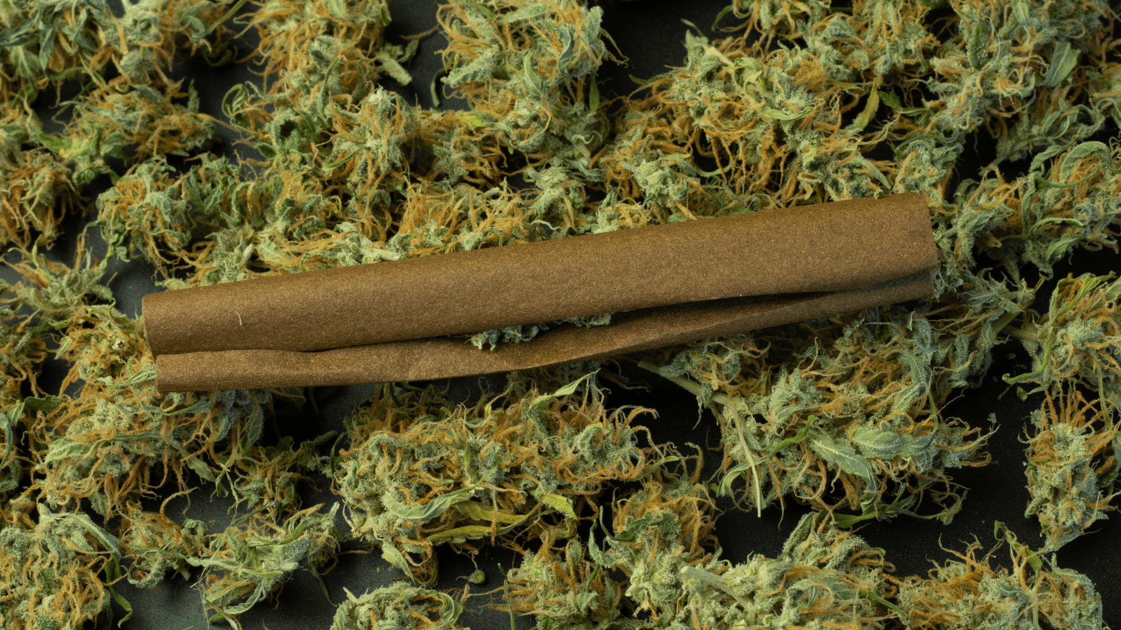 Les avantages des Blunts Chanvre pour une expérience de fumage premium Image