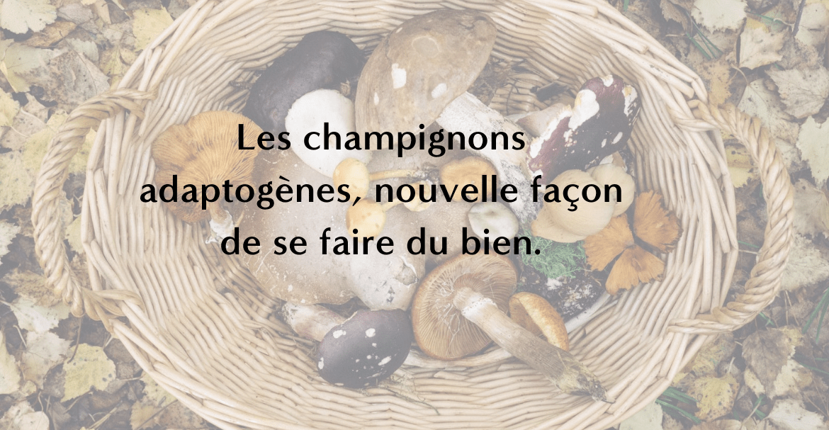 Les champignons adaptogènes, nouvelle façon de se faire du bien. Image