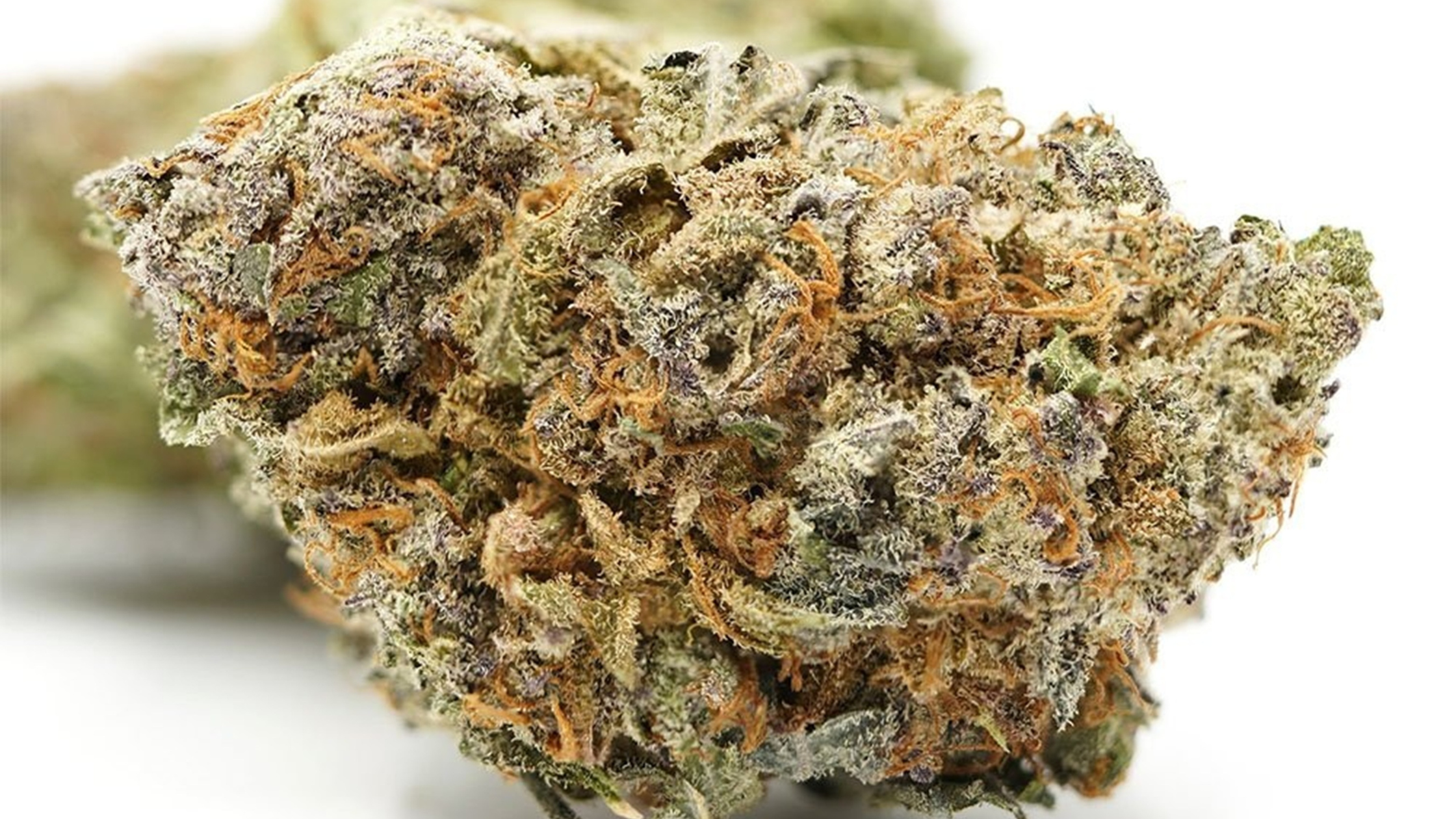 Où acheter du CBD de qualité ? Les erreurs à éviter pour ne pas se tromper