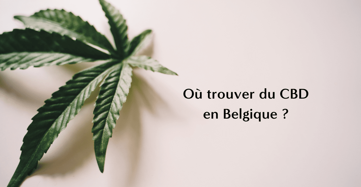 Où trouver du CBD en Belgique ? Image