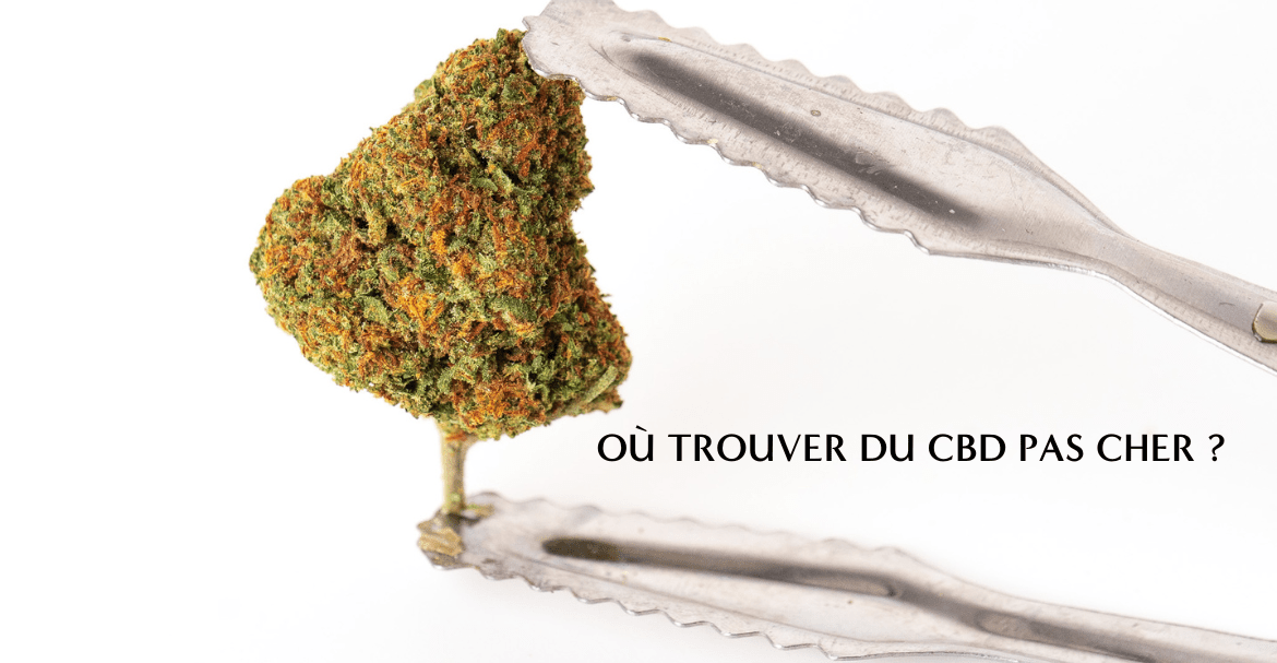 Ou trouver du CBD pas cher et de bonne qualité en France ?