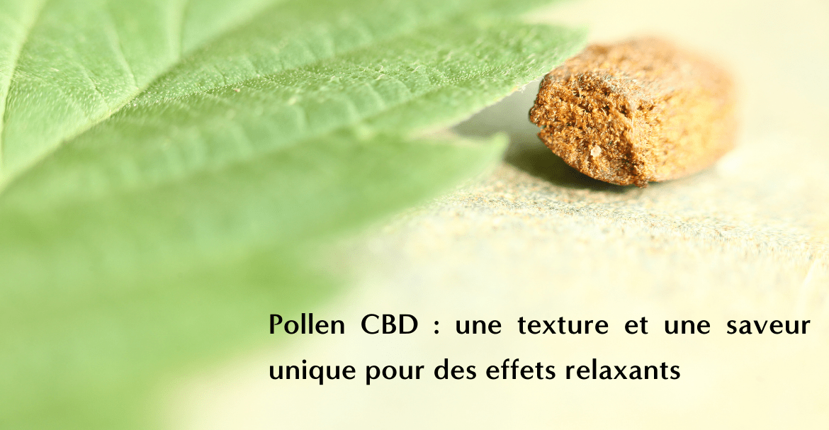 Pollen CBD : une texture et une saveur unique pour des effets relaxants