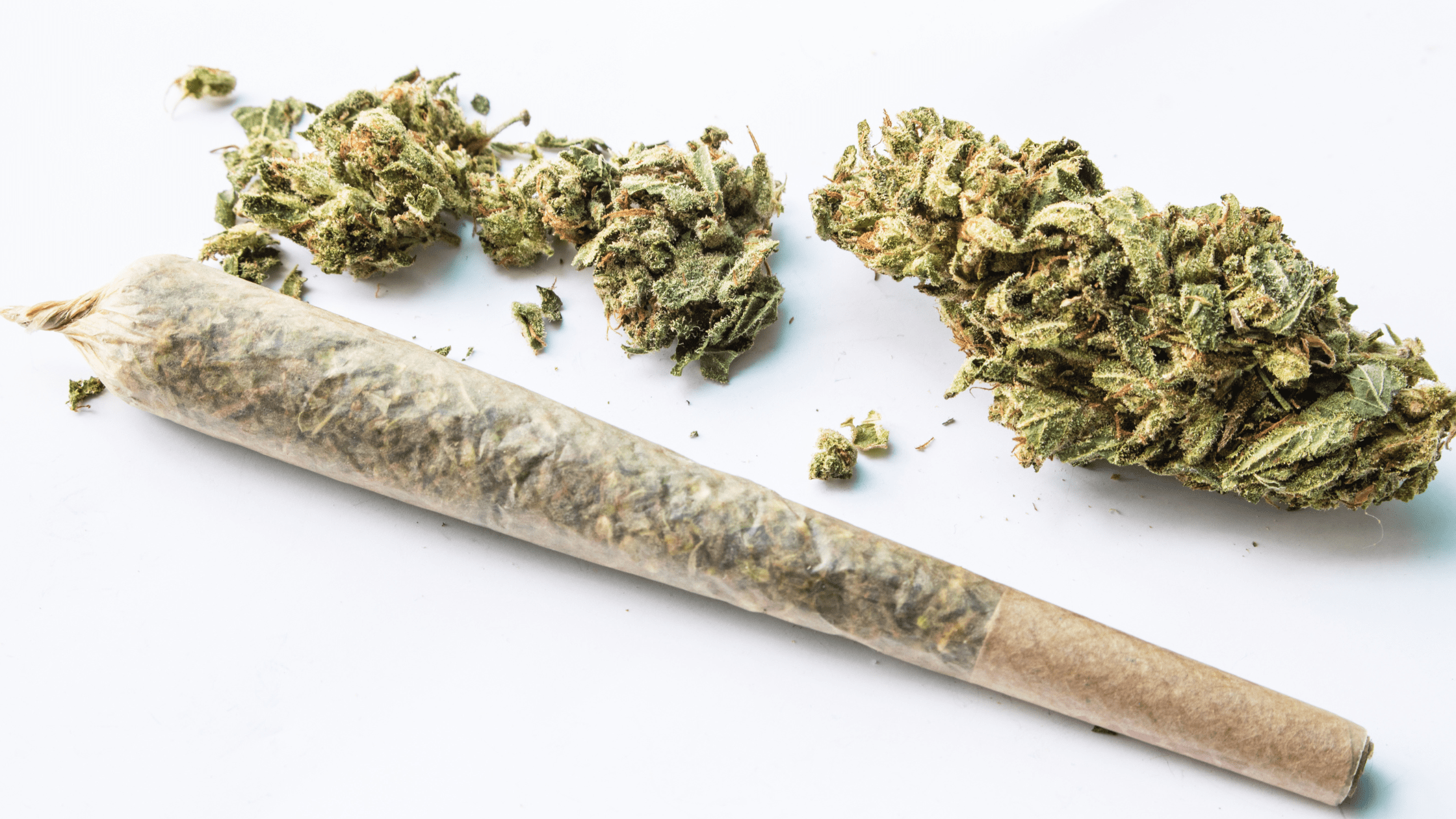 Pre-roll CBD vs fleur CBD : lequel choisir ?