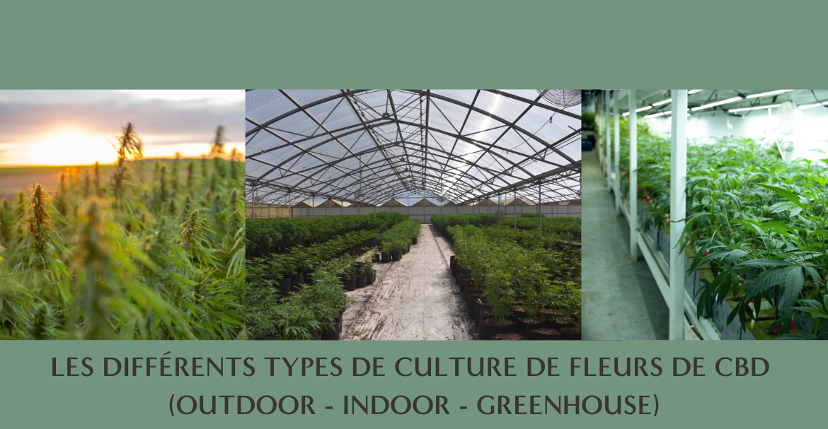 Puis je voyager avec du CBD ?