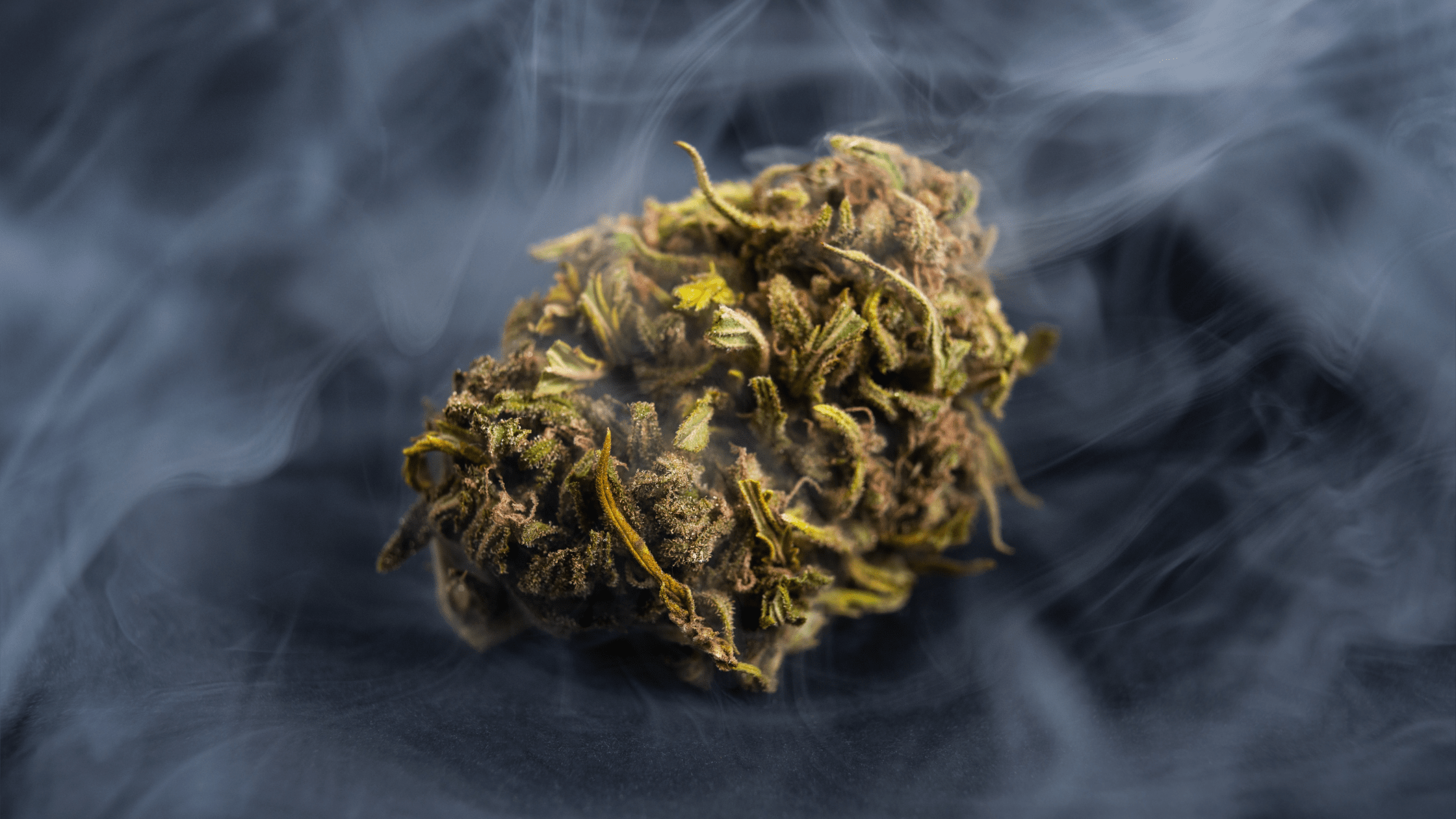 Qu'est-ce que le CBD, les fleurs CBD et les résines CBD ?